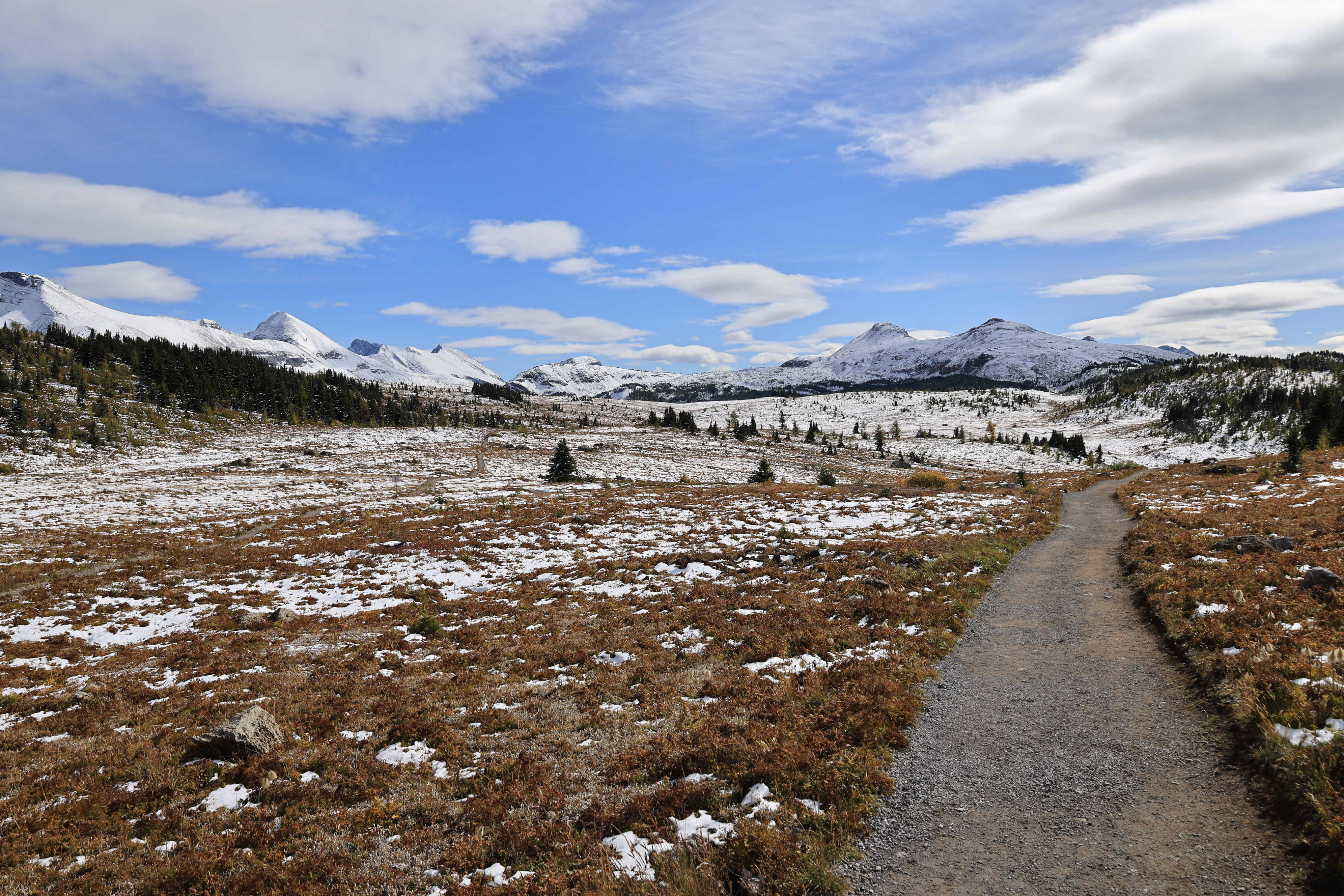 Sunshine Meadows